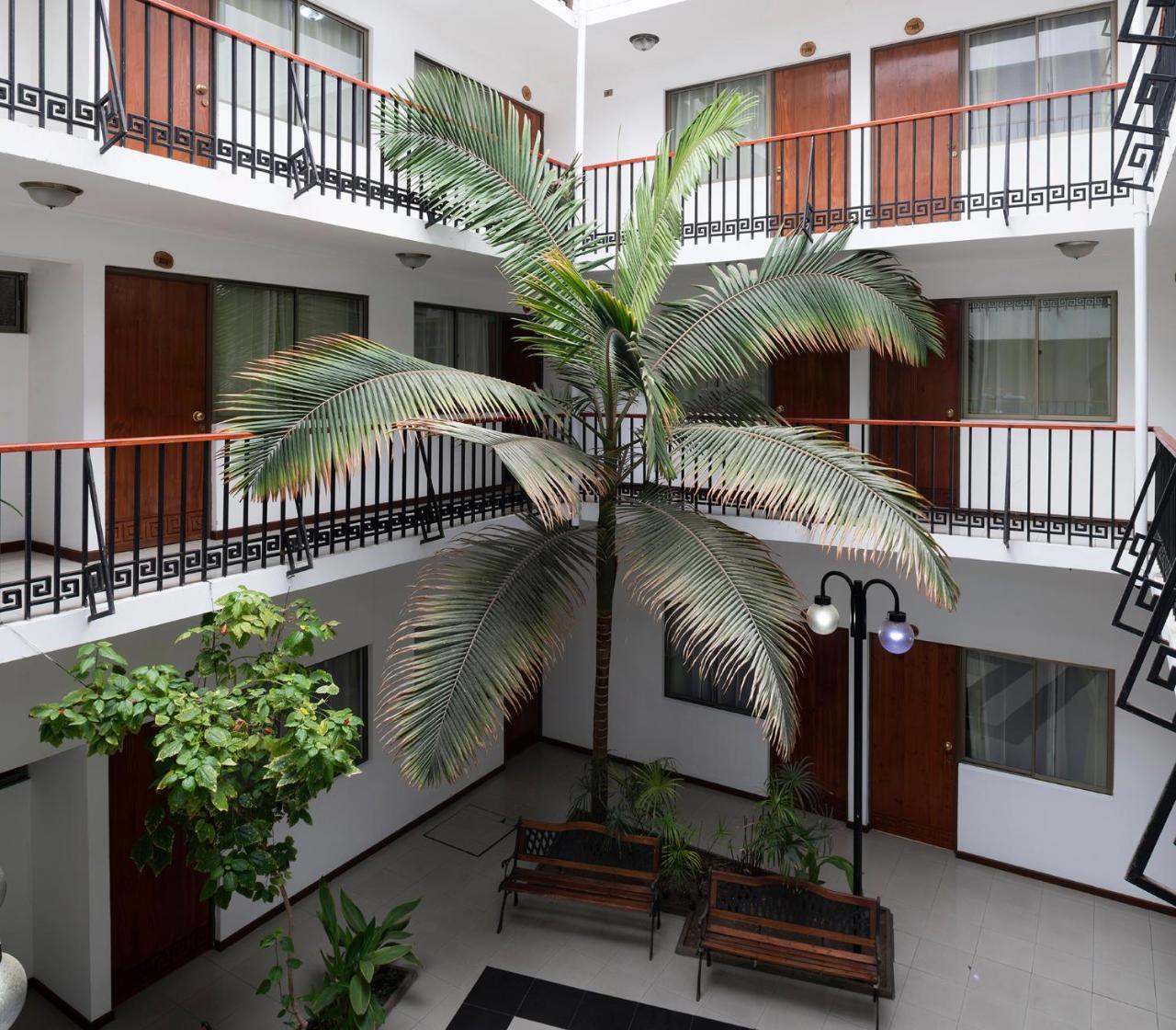 אריקה Hotel Samana מראה חיצוני תמונה